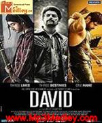 David 2013