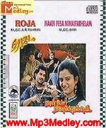 Naan Pesa Ninaipathellam 1993
